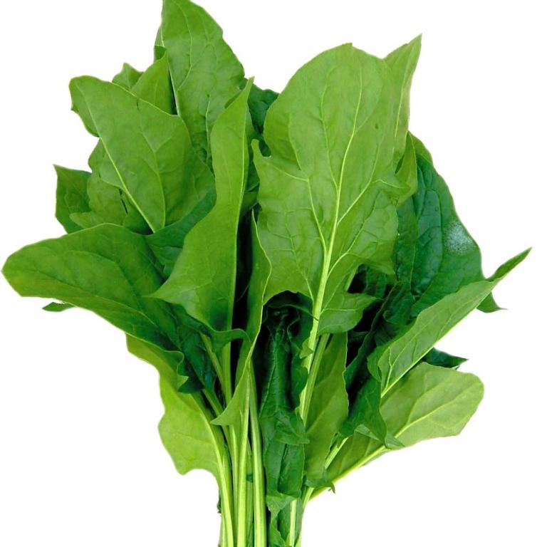 Espinaca